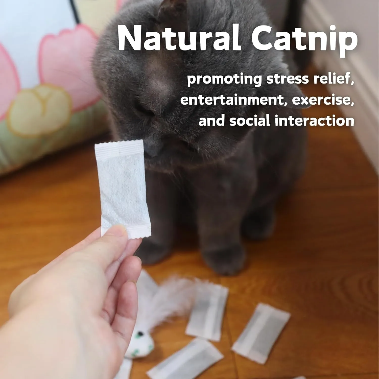 12 Pack Natural Catnip Pouches for Cat Toys, Non-Woven Fabric Cat nip Refills, Gift Packaging with Catnip Tea Bags and Feather Whale Toy