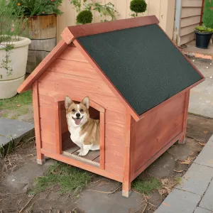 33.5" Golden Wooden Outdoor Dog Pet House with Strong Durability