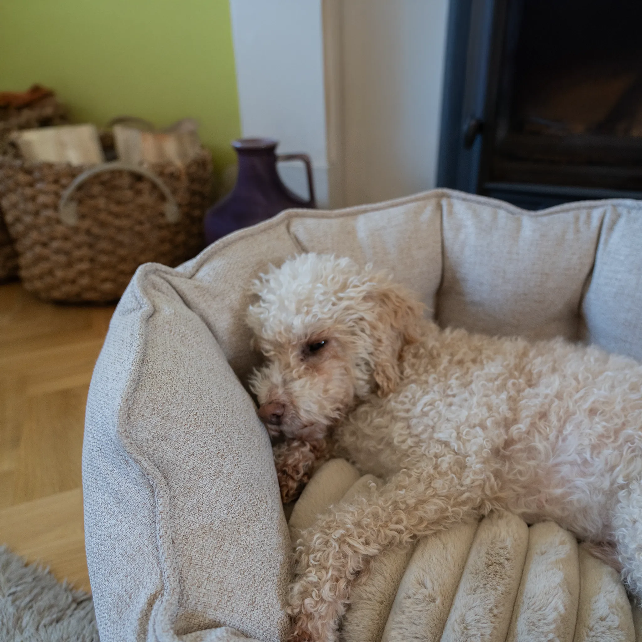 AllPetSolutions Alfie Premium  Luxury Dog Bed - Ivory Cream - S/M/XL