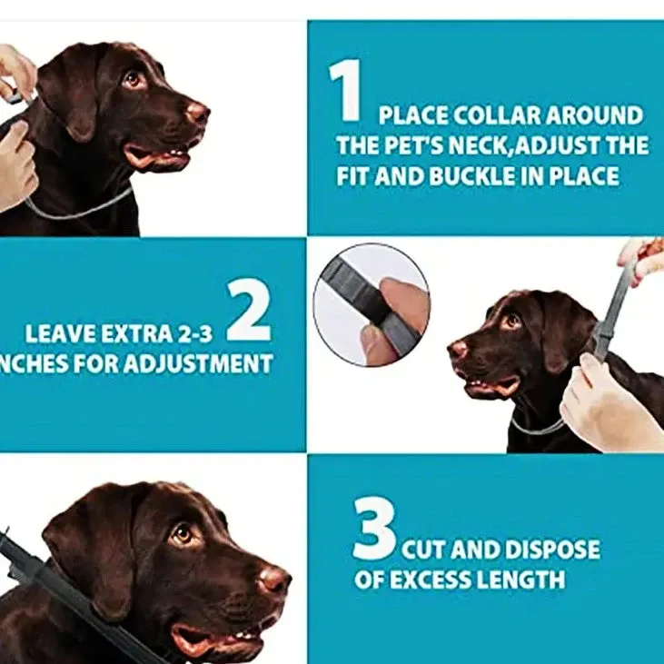 Anti-Flea Pet Necklace