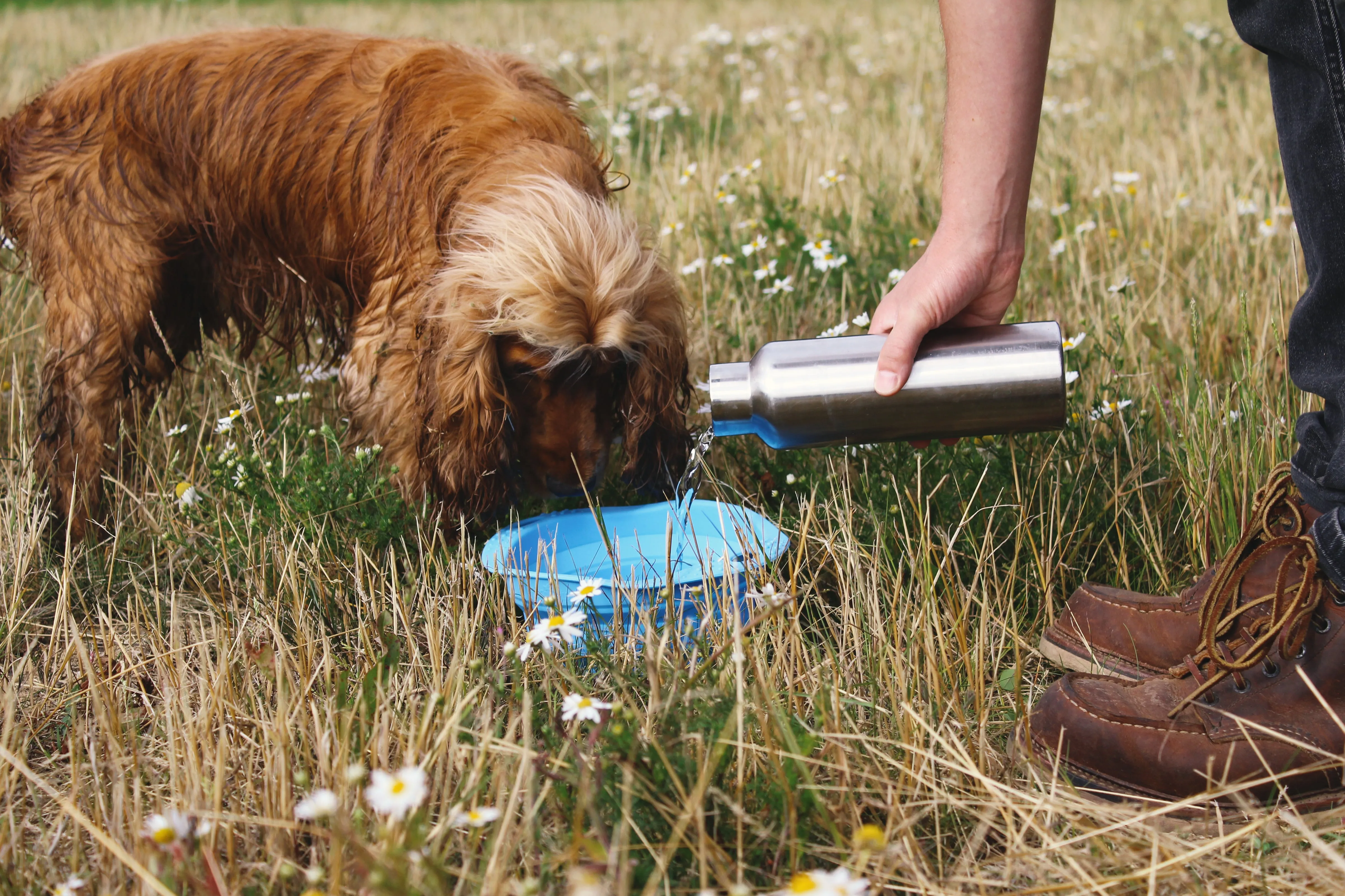 Beco Collapsible Travel Bowl