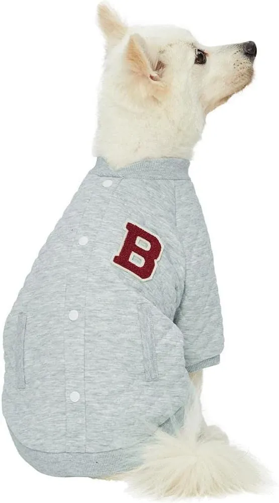 Blueberry Pet Dog Clothes - Soft Argyle Jacquard Pullover in Grey, 14" Back Length - Stylish Dog Accessories, Thunder Shirt for Dogs Anxiety Relief, Perfect for Small Dogs & Cold Weather
