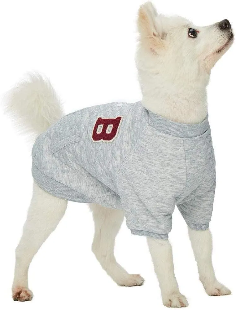 Blueberry Pet Dog Clothes - Soft Argyle Jacquard Pullover in Grey, 14" Back Length - Stylish Dog Accessories, Thunder Shirt for Dogs Anxiety Relief, Perfect for Small Dogs & Cold Weather