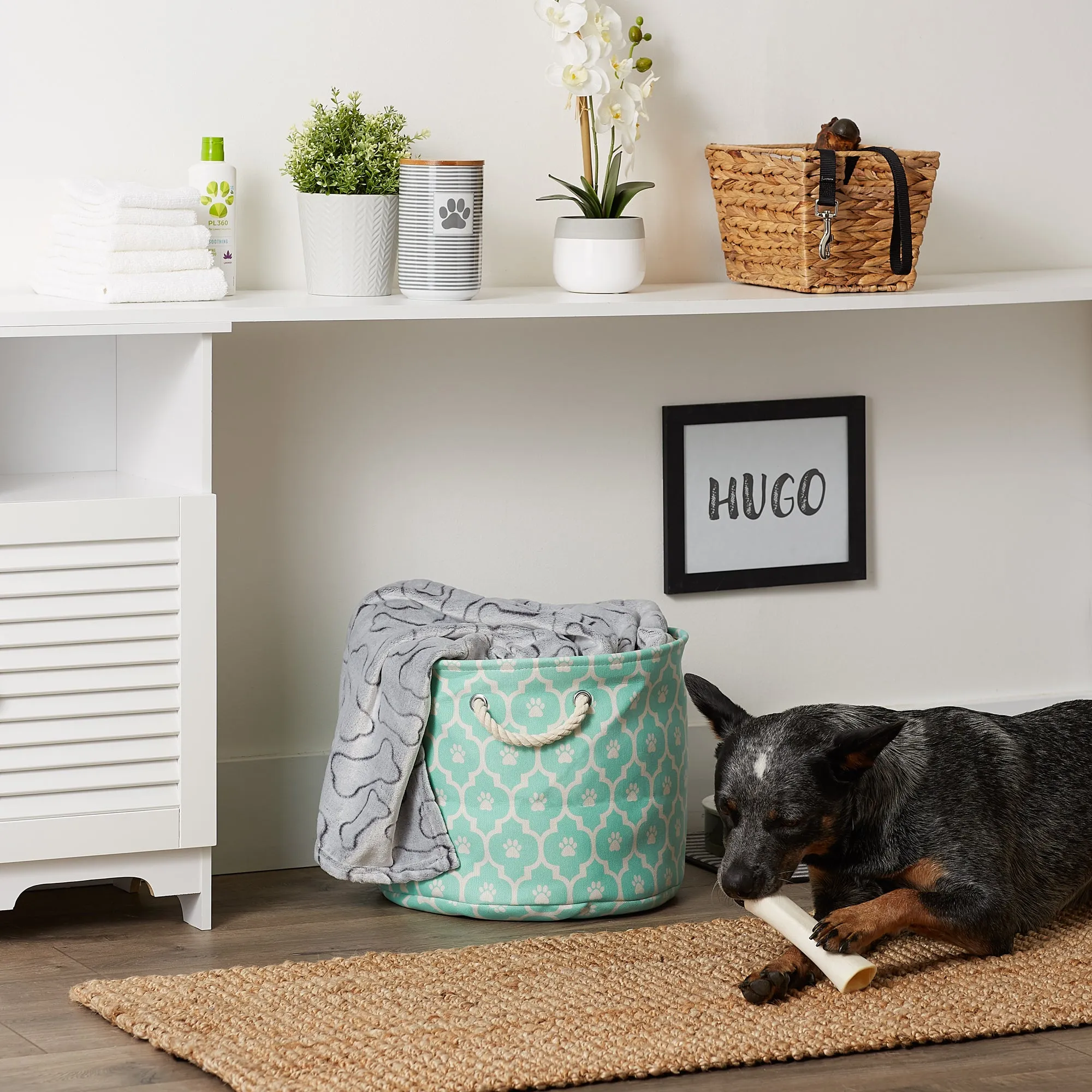 Bone Dry Pet Storage Bin, Lattice Paw Print, Aqua, Medium Round - 15x12"