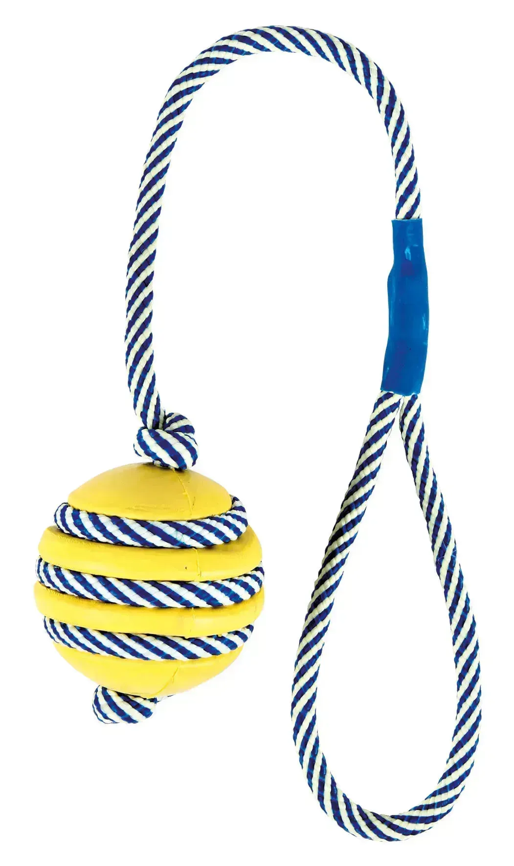 Bone with Phosphorescent Rope
