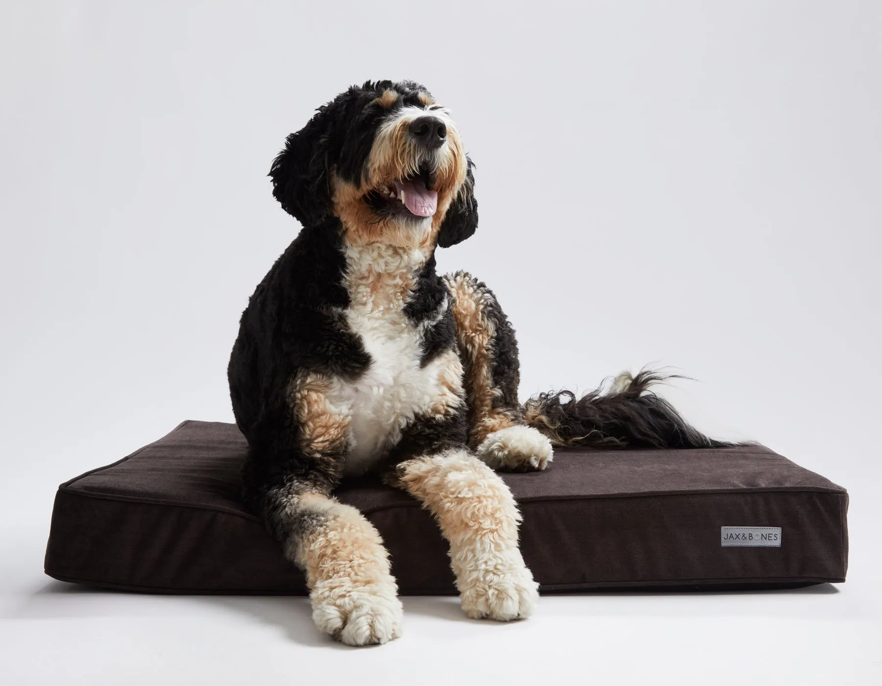 Brown Big Dog XL Ortho Pillow