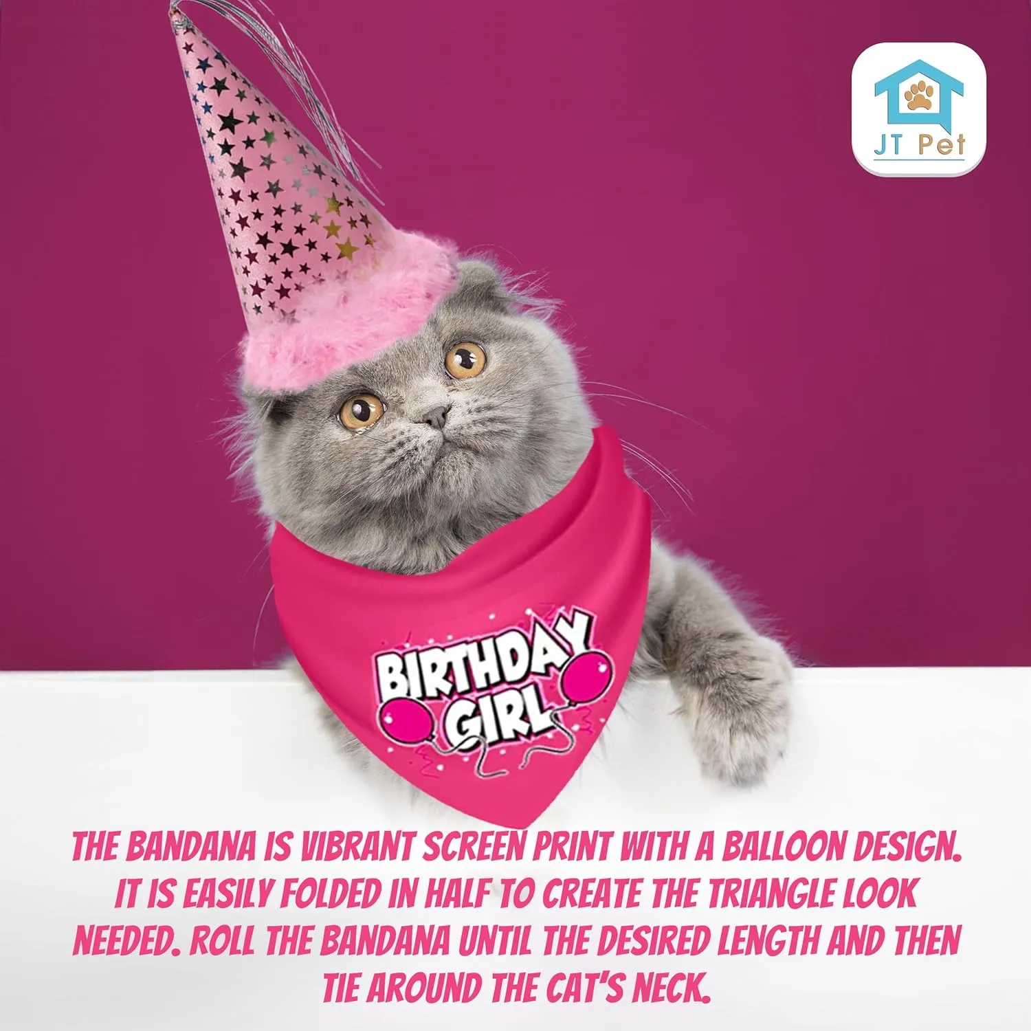 Cat Birthday Girl Party Pack with Bandana, Star Spangled Pink Party Hat with Adjustable Elastic, Tassels and Feathery Trim, and Catnip Birthday Cake Toy, Small