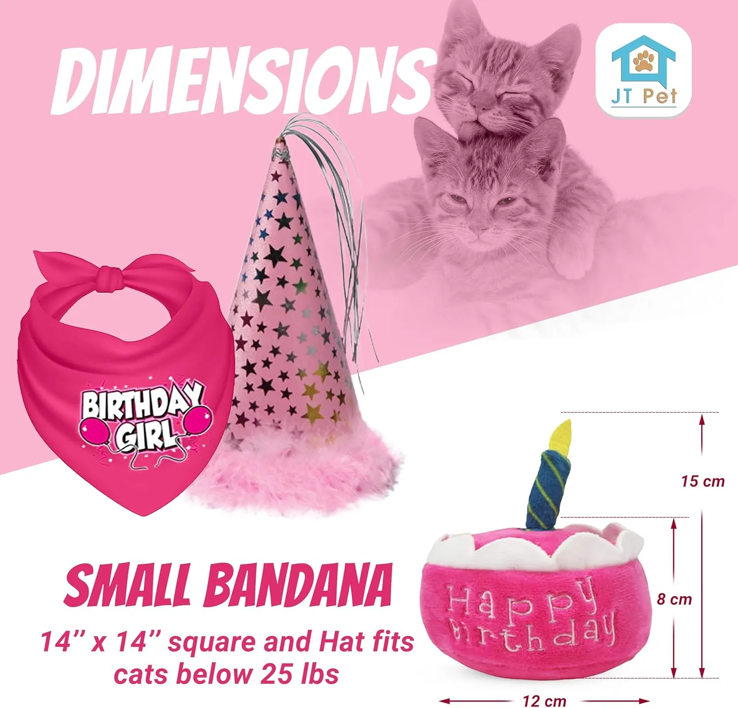 Cat Birthday Girl Party Pack with Bandana, Star Spangled Pink Party Hat with Adjustable Elastic, Tassels and Feathery Trim, and Catnip Birthday Cake Toy, Small