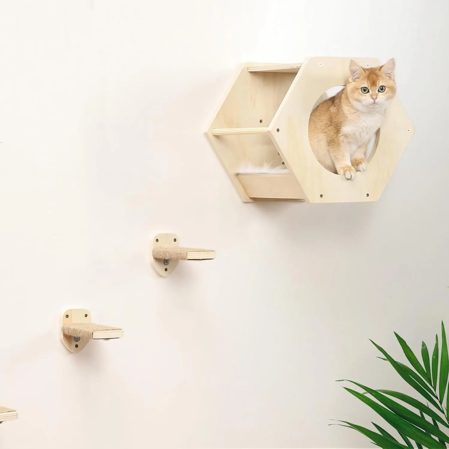 Cat Wall Shelves, Cat Shelves for Wall, Cat Wall Furniture, Cat Shelf with 3 Steps Scratcher Post, Cat Tree Hammock with Plush Wall Mounted, Climbing Shelf Wall Mount for Indoor Cats (Wood)