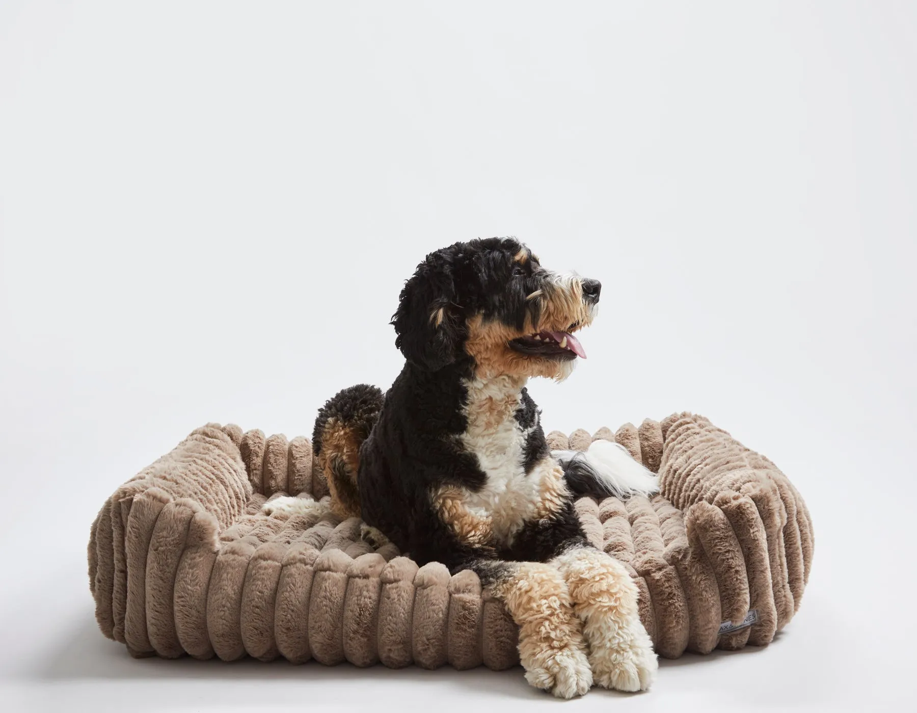 Corduroy Taupe Big Dog XL Ortho Lounge