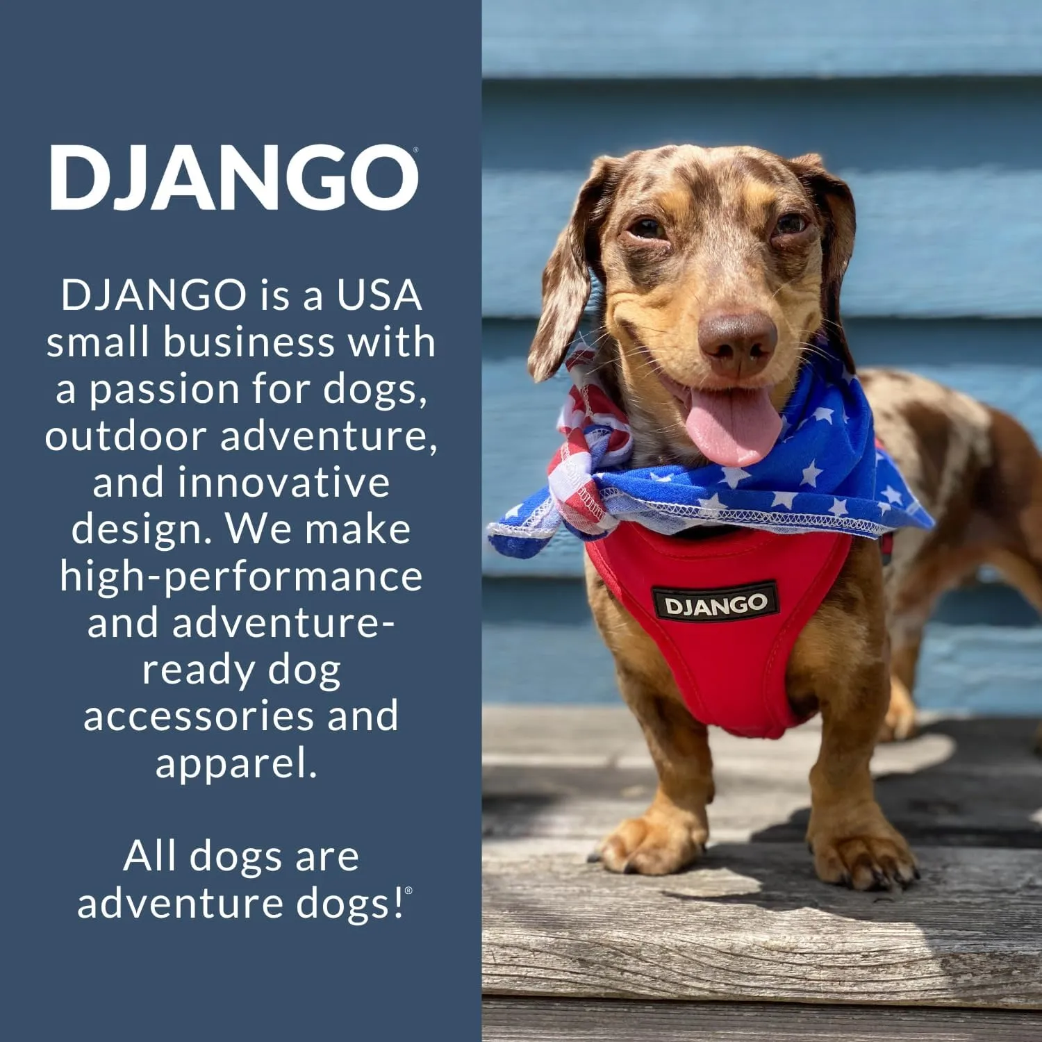 DJANGO Dog Carrier Bag Large - Waxed Canvas and Leather Soft Dog Travel Carrier - Olive Green Travel Tote Bag for Pets with Harness Safety Tether, Secure Zipper Pockets, and Water-Resistant Lining