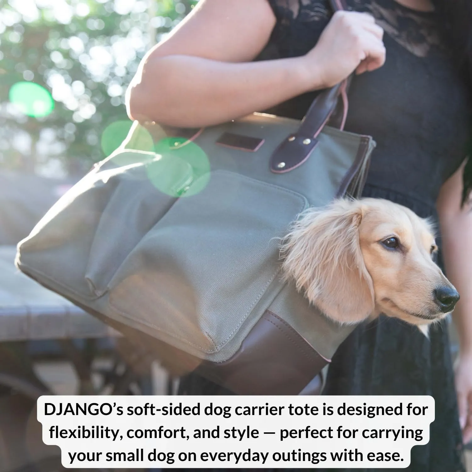 DJANGO Dog Carrier Bag Large - Waxed Canvas and Leather Soft Dog Travel Carrier - Olive Green Travel Tote Bag for Pets with Harness Safety Tether, Secure Zipper Pockets, and Water-Resistant Lining