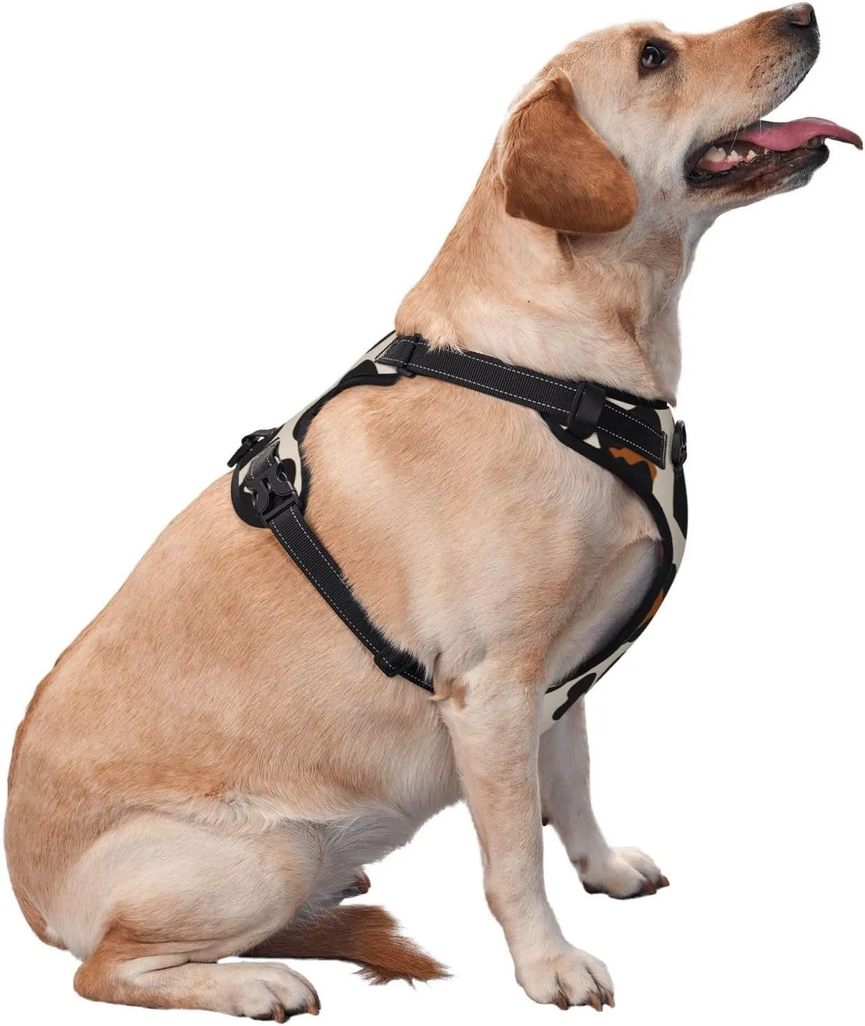 Dog Harness and Leash Set No Pull, Adjustable Reflective Dog Vest Harness with Handle Easy Control Puppy for Pet, Small, Medium, Large Dogs (Small)-Leopard
