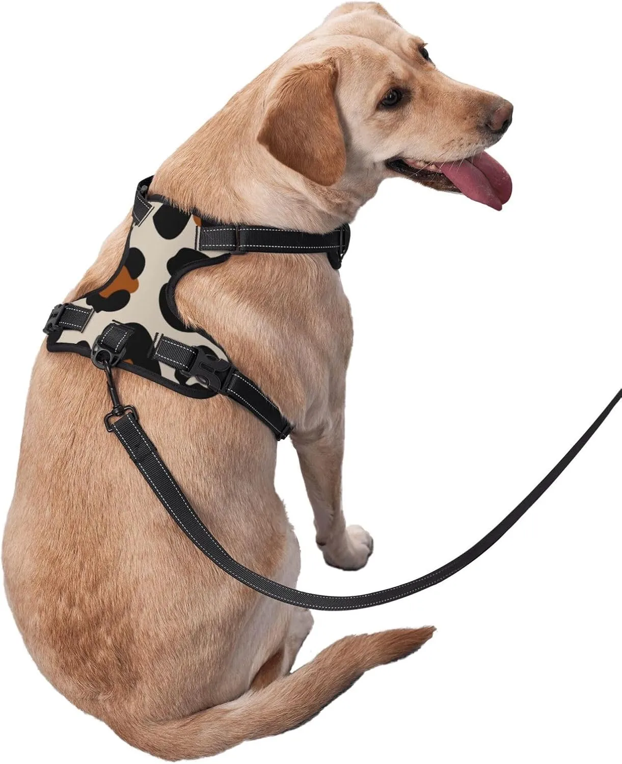 Dog Harness and Leash Set No Pull, Adjustable Reflective Dog Vest Harness with Handle Easy Control Puppy for Pet, Small, Medium, Large Dogs (Small)-Leopard