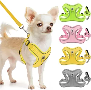 Dog Harness and Leash Set,4 Point Adjustable Reflective Dog Vest Harness,No Pull Harness-Leash for Small Medium Large Sized Dogs Puppy,L-Yellow