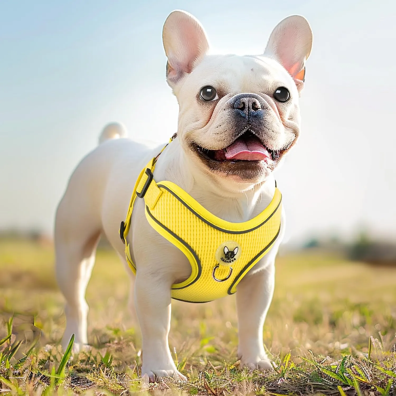 Dog Harness and Leash Set,4 Point Adjustable Reflective Dog Vest Harness,No Pull Harness-Leash for Small Medium Large Sized Dogs Puppy,L-Yellow