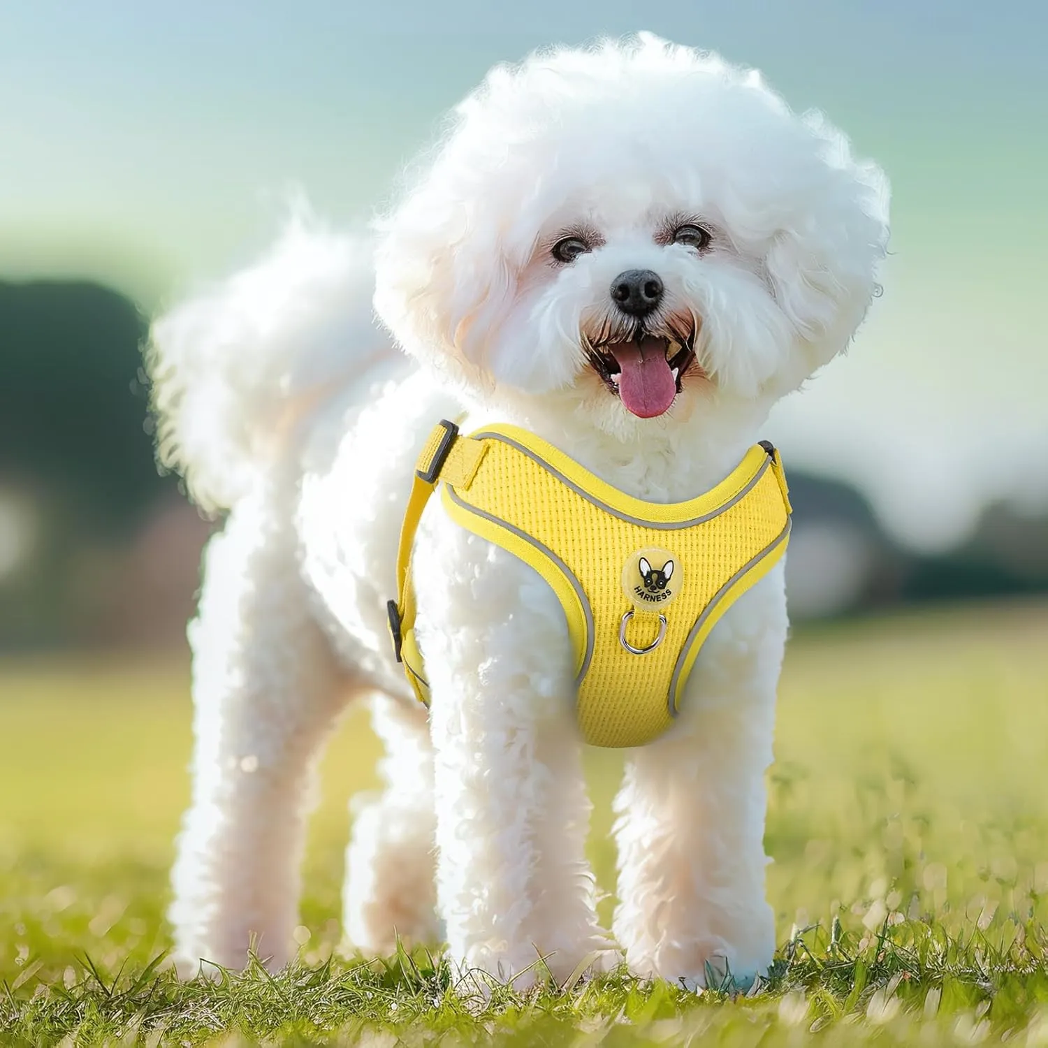 Dog Harness and Leash Set,4 Point Adjustable Reflective Dog Vest Harness,No Pull Harness-Leash for Small Medium Large Sized Dogs Puppy,L-Yellow