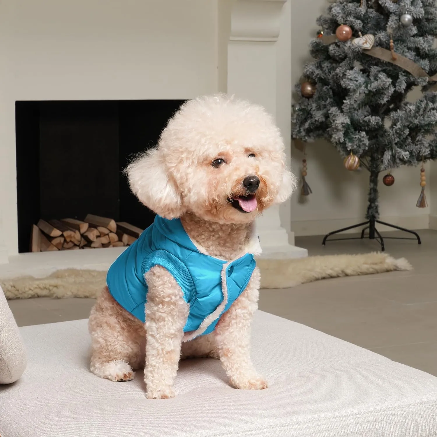 Fleece Lining Extra Warm Dog Hoodie in Winter,Small Dog Jacket Puppy Coats with Hooded,Light Blue S