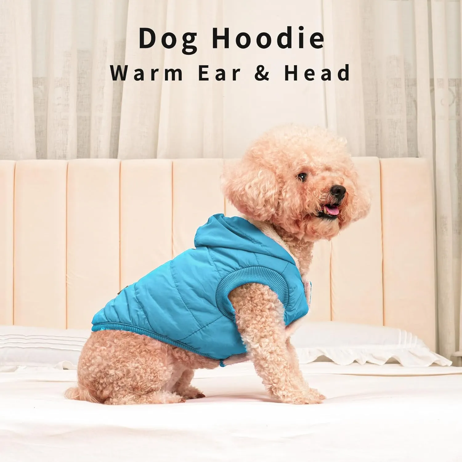 Fleece Lining Extra Warm Dog Hoodie in Winter,Small Dog Jacket Puppy Coats with Hooded,Light Blue S