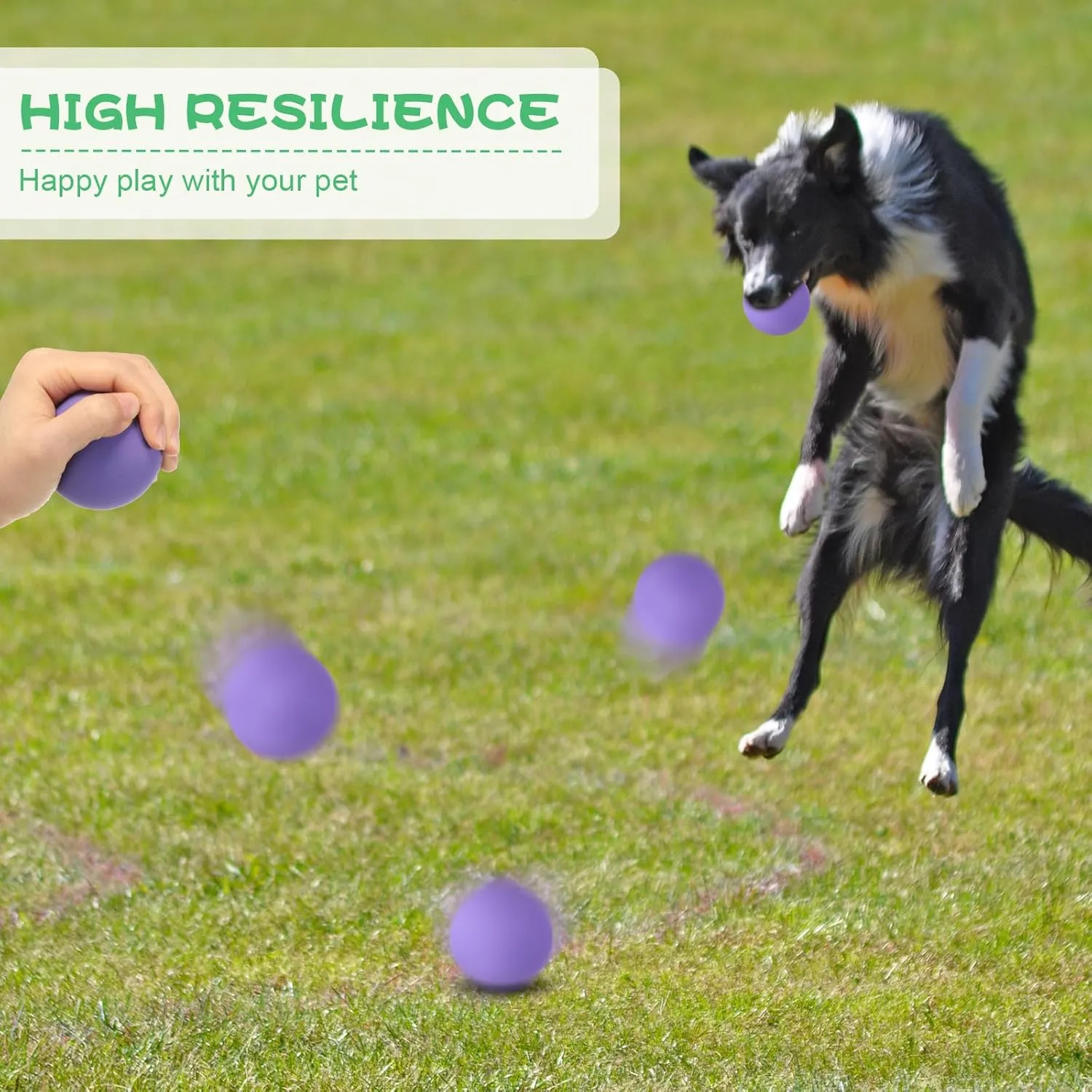 Hiboom 15 Pack Natural Rubber Tennis Balls for Dogs Catching Pet Dog Balls for Fetch Training 2.4 Inch Interactive High Bounce and Floatable pet Toy for Park Beach Gift(Colorful)