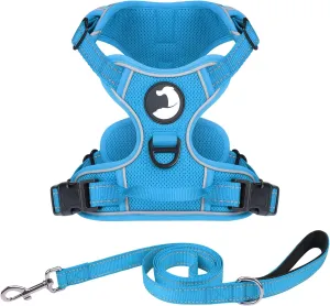 Joytale No Pull Mesh Dog Harness and Reflective Dog 4FT x 1" Leash Combo with Neoprene Handle for Medium Dogs (Aqua Blue,M)