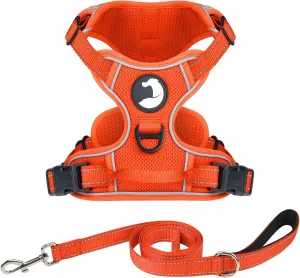Joytale No Pull Mesh Dog Harness and Reflective Dog 4FT x 1" Leash Combo with Neoprene Handle for Small Dogs (Orange,S)
