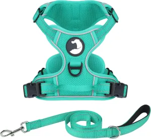 Joytale No Pull Mesh Dog Harness and Reflective Dog 6FT x 1" Leash Combo with Neoprene Handle for Medium Dogs (Teal,M)