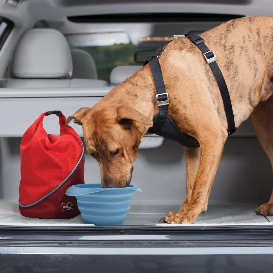 Kibble Carrier Dog Food Storage Bag (holds 2.3kg)