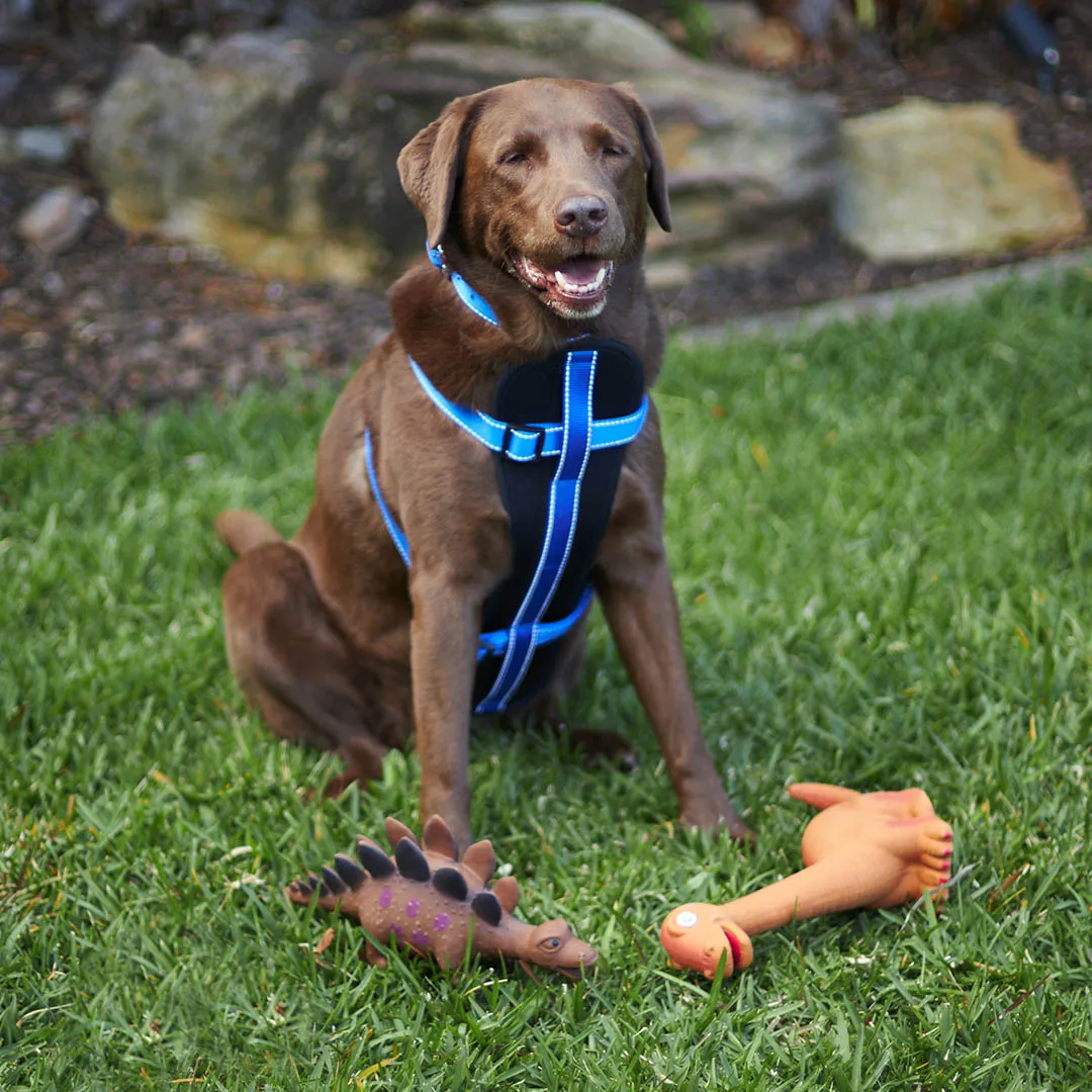 Lanky Long Neck Squeaky Dog Toy