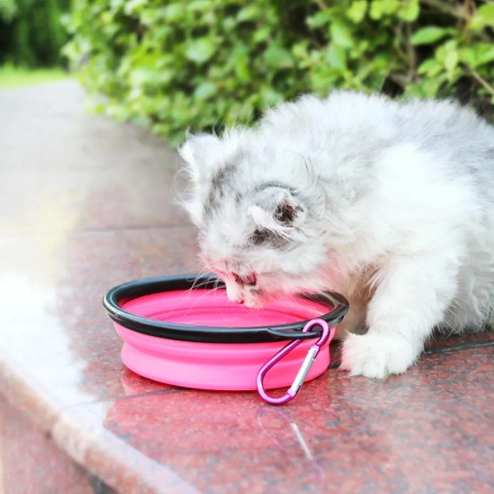Mvstu™ 2-in-1 Pet Travel Water & Food Bottle with Foldable Bowl