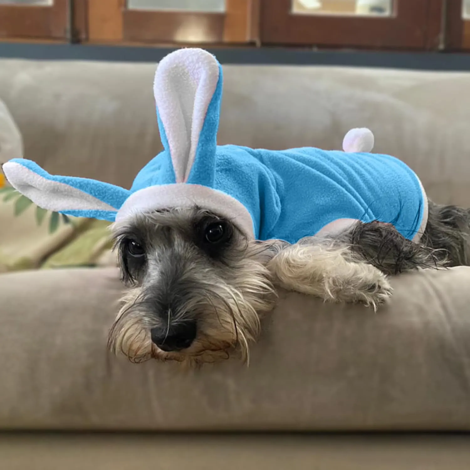 NACOCO Dog Bunny Costume Christmas Cat Halloween Rabbit Winter Hoodie Easter Pet Soft Fleece Bunny Outfit with Hood for Small Dogs Puppies Cats (L, Blue)