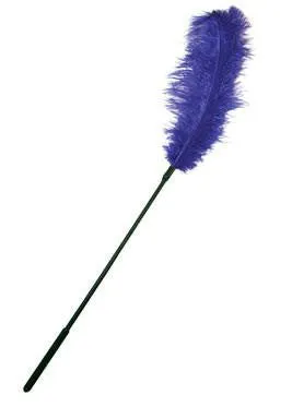 Ostrich Feather Tickler