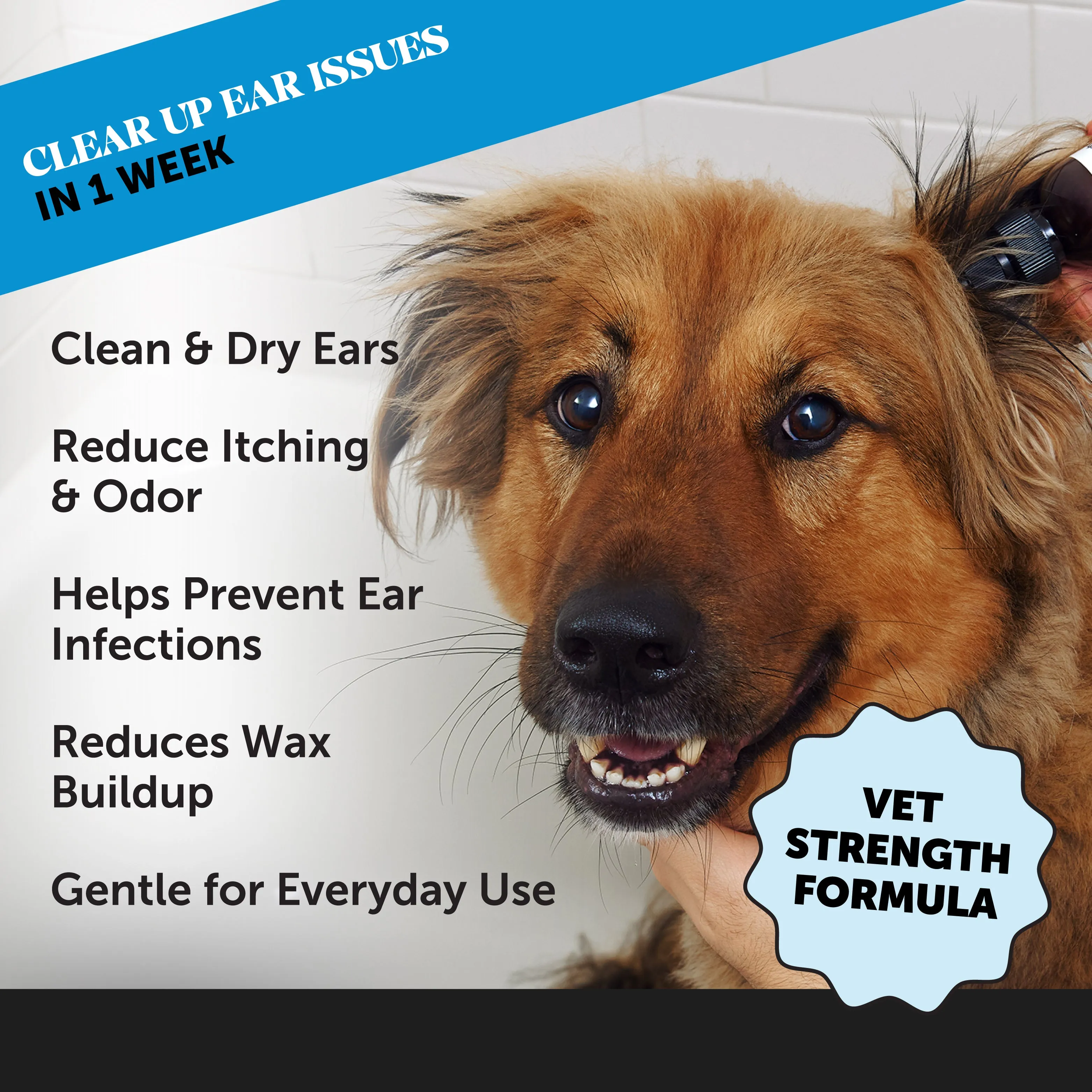 OTIC Ear Cleaner and Drier 3-Pack (24 Ounces)
