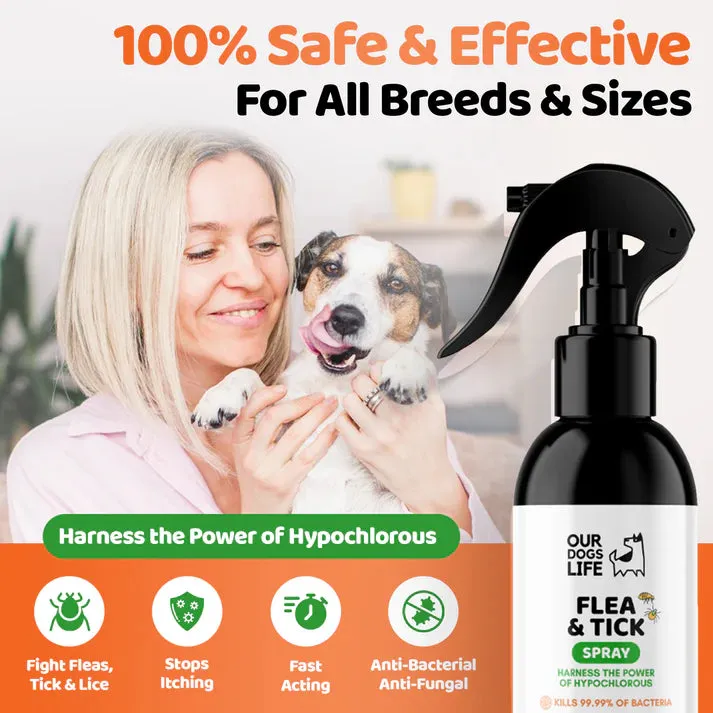 Our Dogs Life - Dog Flea & Tick Spray
