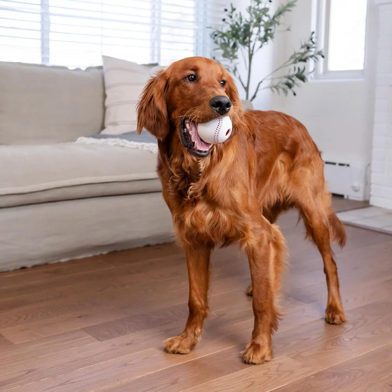 Outward Hound Orbee Tuff Baseball
