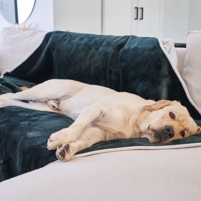Paw Brands, PupProtector™ Waterproof Throw Blanket, Green Velvet