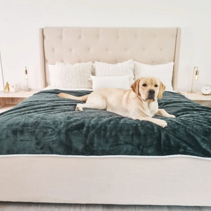 Paw Brands, PupProtector™ Waterproof Throw Blanket, Green Velvet