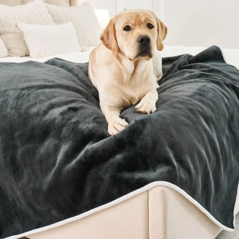 Paw Brands, PupProtector™ Waterproof Throw Blanket, Green Velvet