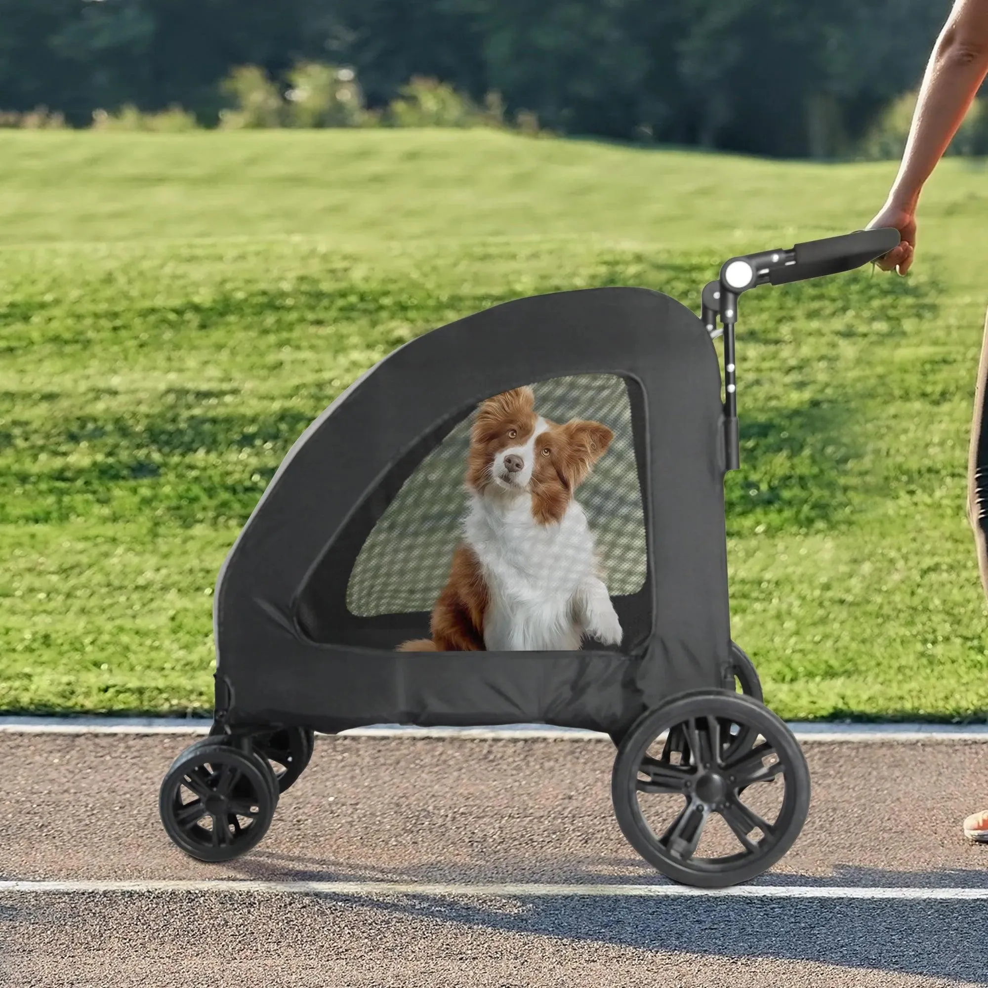 PaWz Pet Stroller 4 Wheel