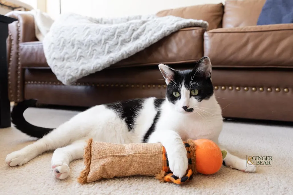 P.L.A.Y. Feline Frenzy, Catnip Kicker Toy set: Scarecrow