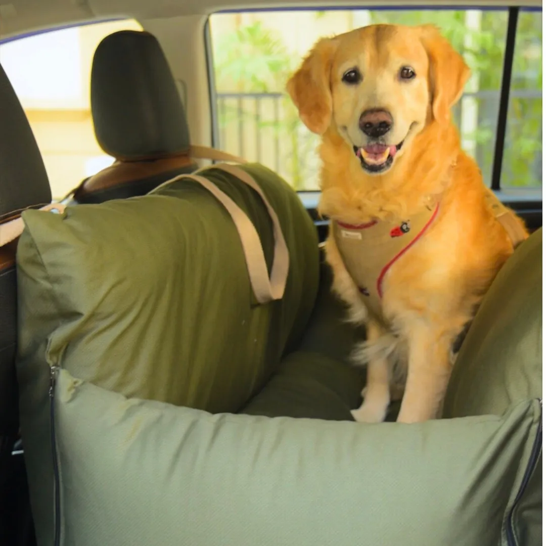 PoochMate Dog Travel Bed Large : Forest Green