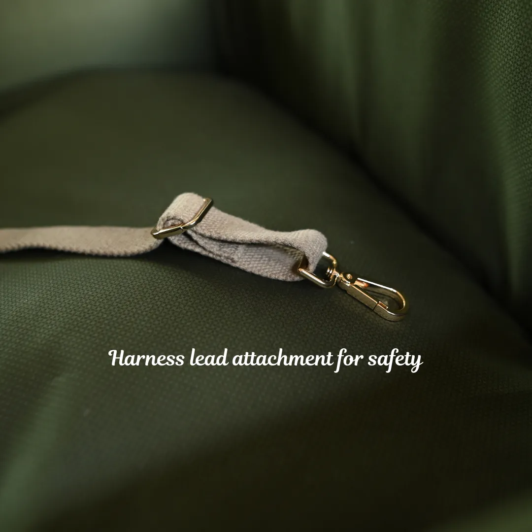 PoochMate Dog Travel Bed Large : Forest Green