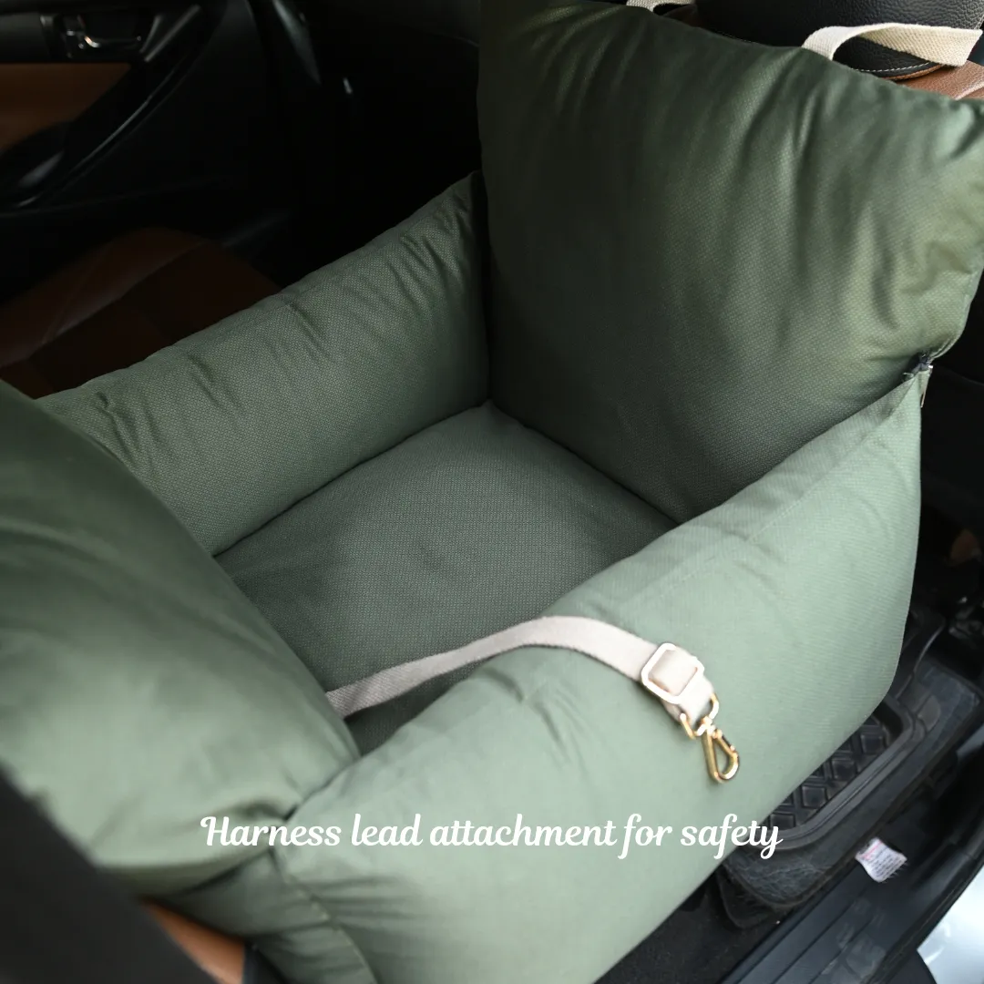 PoochMate Travel Bed for Small Dogs : 22X22 Forest Green