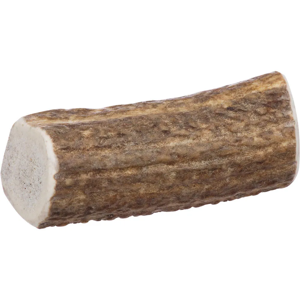 Prairie Dog Elk Antler Chews