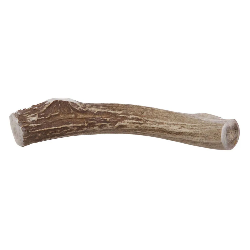Prairie Dog Elk Antler Chews