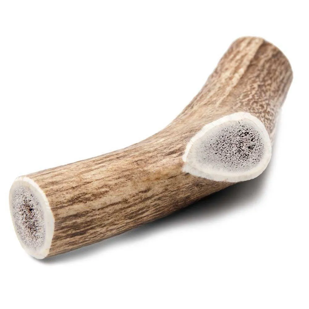 Prairie Dog Elk Antler Chews