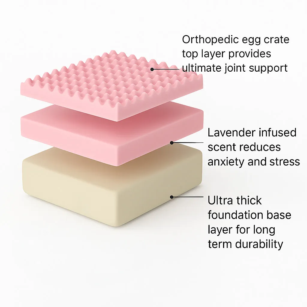 Premium Orthopedic Memory Foam Dog Bed - Cream (Large)