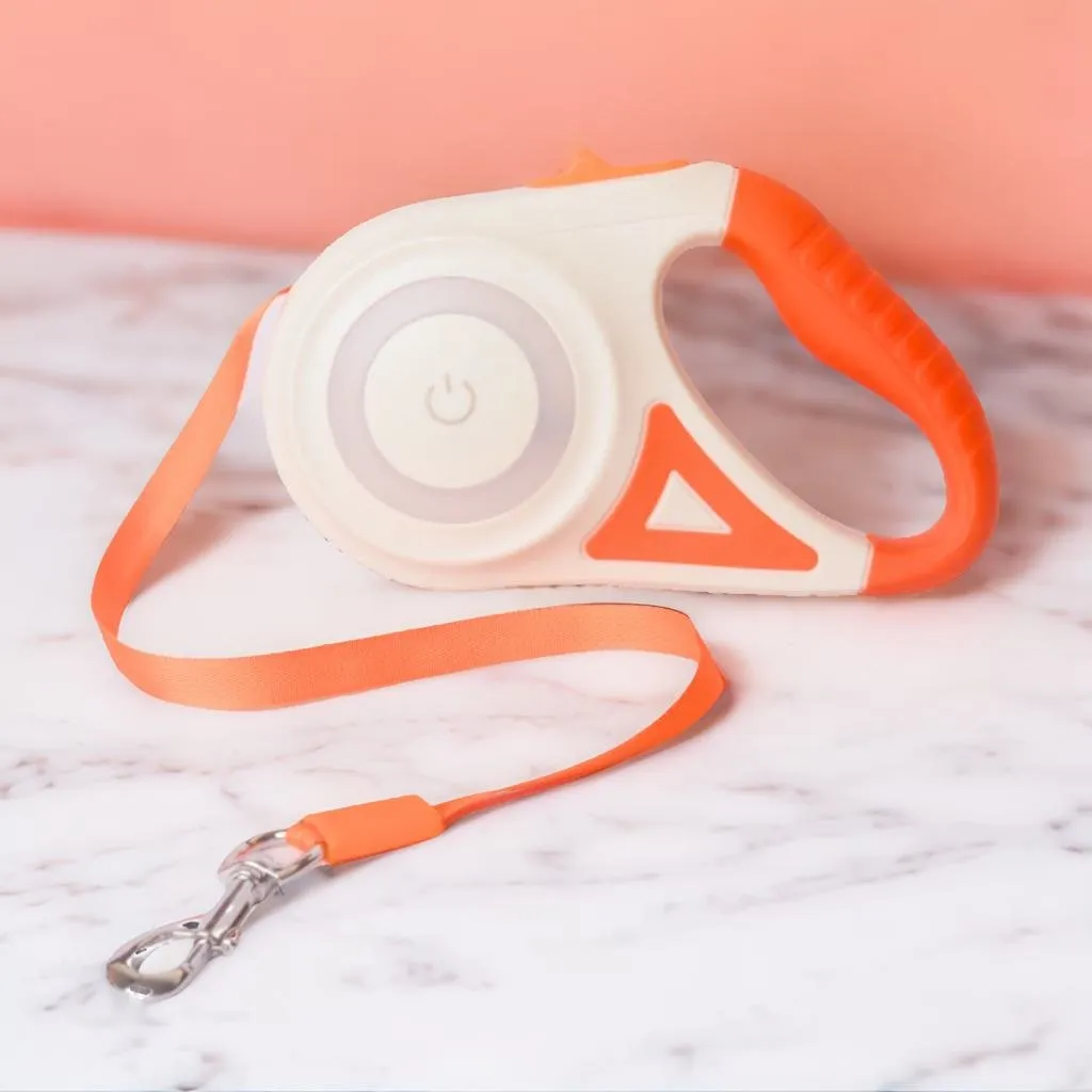 Retractable Leash With LED Lights & Torch