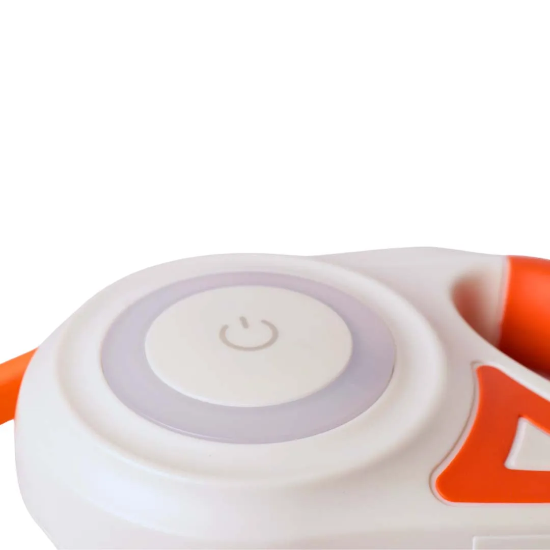 Retractable Leash With LED Lights & Torch