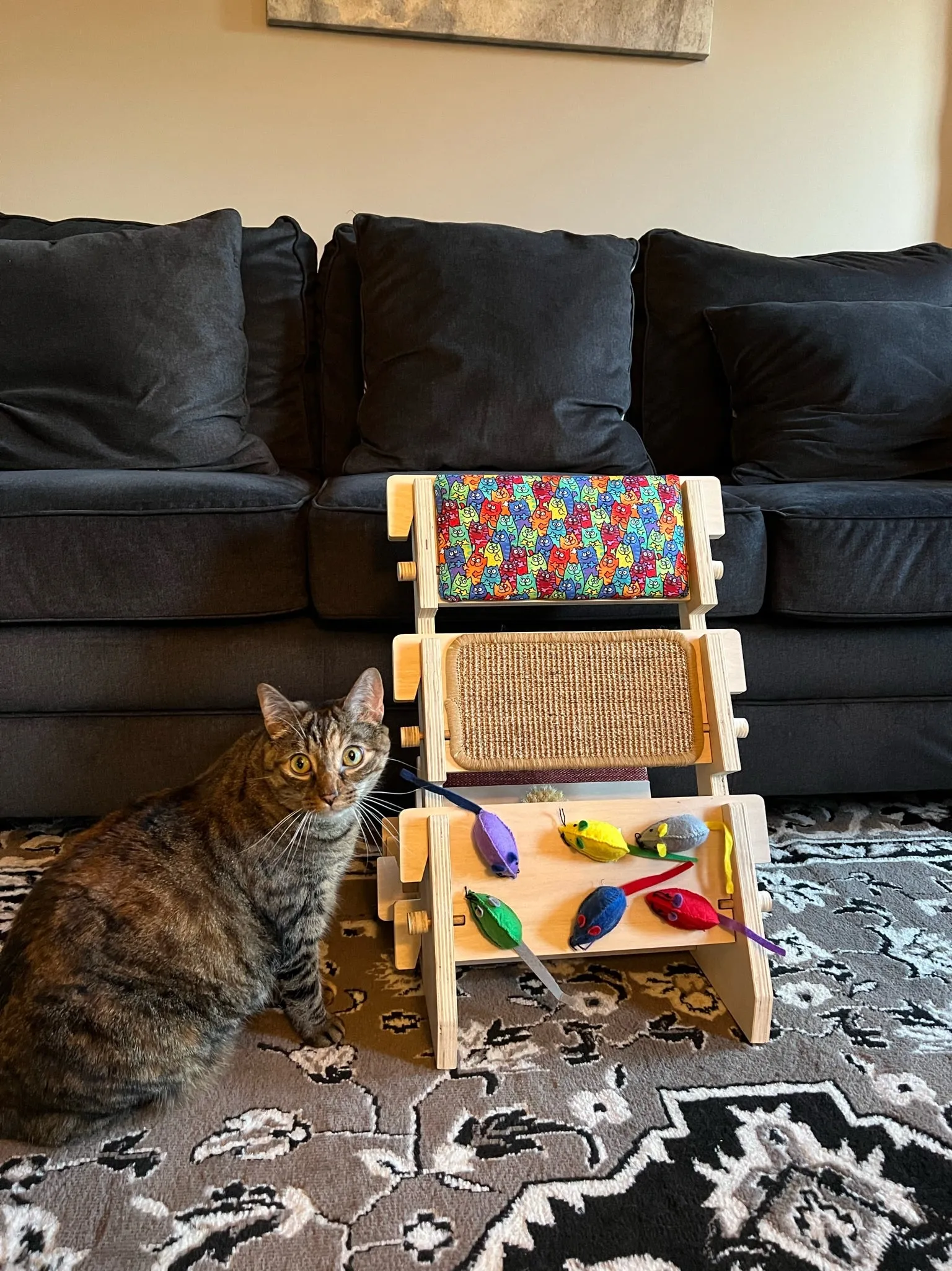 ScratchLadder: Colorful Cats Catnip Cushion, Sisal Carpet, Felt Mice